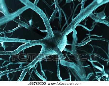 Clipart - Nerve cells, artwork. Fotosearch