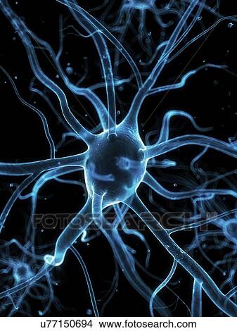 Stock Illustration - Nerve cells, artwork. Fotosearch