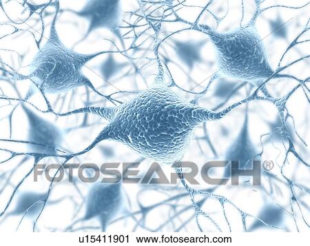 Neural network, artwork View Large Illustration Clip Art - Neural network, artwork. Fotosearch