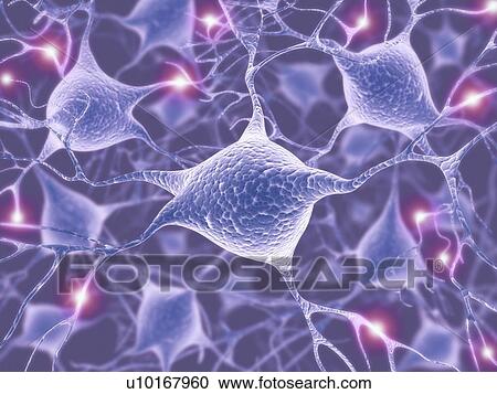 Neural network, artwork View Large Illustration Clipart - Neural network, artwork. Fotosearch