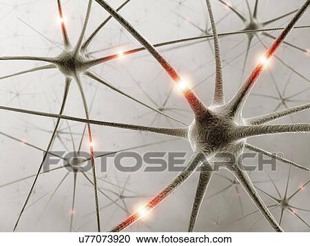 Neural network, artwork View Large Illustration Clipart - Neural network, artwork. Fotosearch