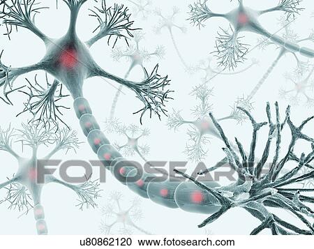 Neural network, artwork View Large Illustration Clipart - Neural network, artwork. Fotosearch