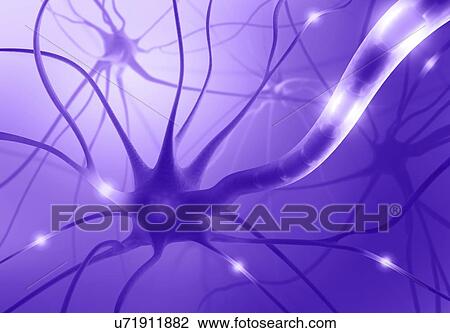 Drawing - Neural network, artwork. Fotosearch