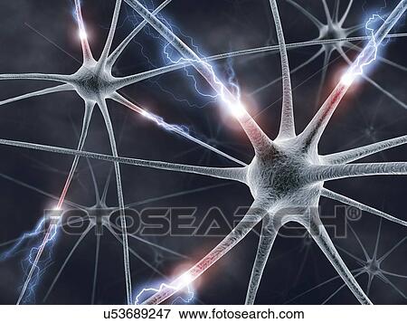 Neural network, artwork View Large Illustration Stock Illustration - Neural network, artwork. Fotosearch
