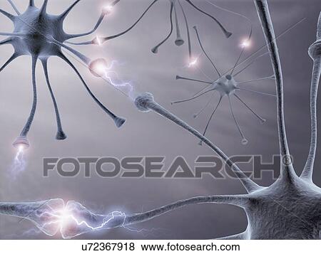 Neural network, artwork View Large Illustration Stock Illustration - Neural network, artwork. Fotosearch