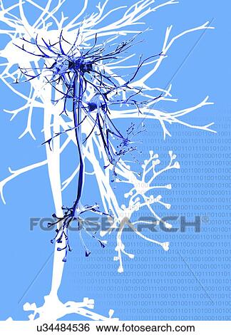 Neural network, conceptual artwork View Large Illustration Stock Illustration - Neural network, conceptual artwork. Fotosearch