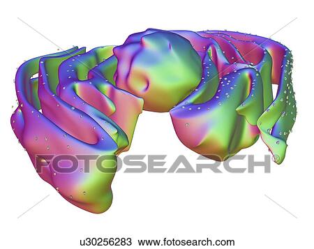 Nucleus and endoplasmic reticulum View Large Illustration Drawing - Nucleus and endoplasmic reticulum. Fotosearch