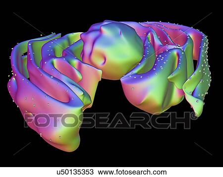 Drawing - Nucleus and endoplasmic reticulum. Fotosearch