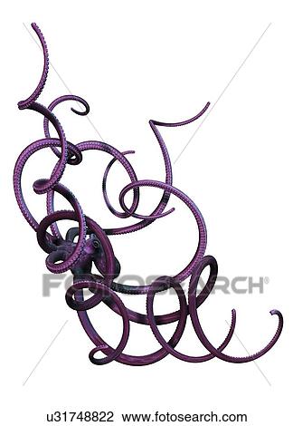 Octopus, artwork View Large Illustration Drawing - Octopus, artwork. Fotosearch