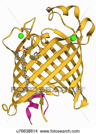 Outer membrane phospholipase A molecule View Large Illustration Stock Illustration - Outer membrane phospholipase A molecule. Fotosearch