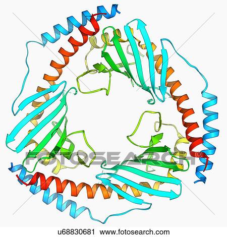 Clip Art - P32 mitochondrial matrix protein. Fotosearch