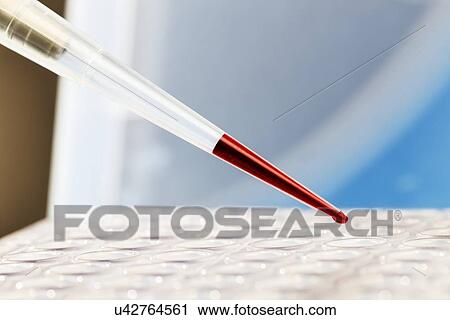 Pipetting into microtubes View Large Illustration Clip Art - Pipetting into microtubes. Fotosearch