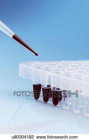 Drawing - Pipetting into microtubes. Fotosearch