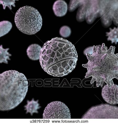 Stock Illustration - Pollen grains, artwork. Fotosearch