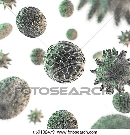 Pollen grains, artwork View Large Illustration Stock Illustration - Pollen grains, artwork. Fotosearch