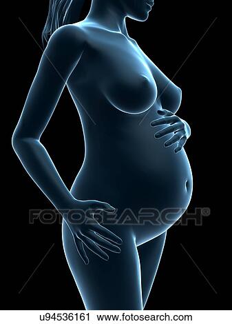 Pregnancy, artwork View Large Illustration Clip Art - Pregnancy, artwork. Fotosearch