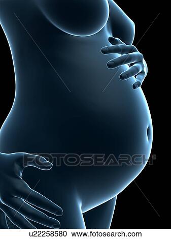 Clipart - Pregnancy, artwork. Fotosearch