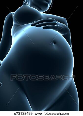 Stock Illustration - Pregnancy, artwork. Fotosearch