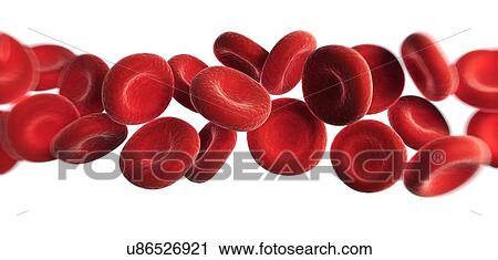 Red blood cells, artwork View Large Illustration Clip Art - Red blood cells, artwork. Fotosearch