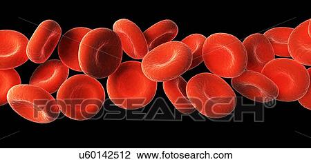 Drawing - Red blood cells, artwork. Fotosearch