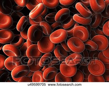 Stock Illustration - Red blood cells, artwork. Fotosearch