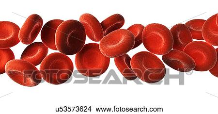 Red blood cells, artwork View Large Illustration Stock Illustration - Red blood cells, artwork. Fotosearch