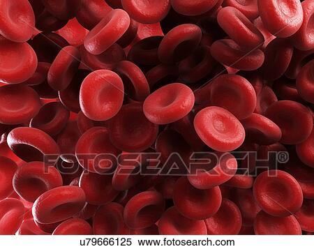 Stock Illustration - Red blood cells, artwork. Fotosearch