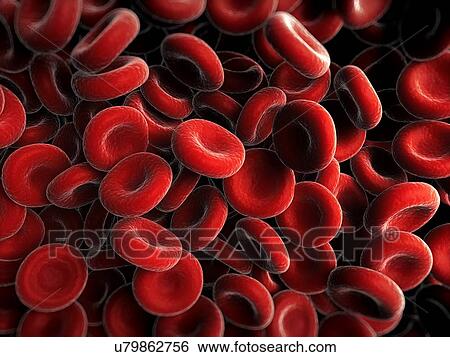 Red blood cells, artwork View Large Illustration Stock Illustration - Red blood cells, artwork. Fotosearch