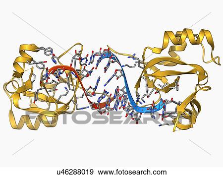 RNA-induced silencing complex View Large Illustration Stock Illustration - RNA-induced silencing complex. Fotosearch