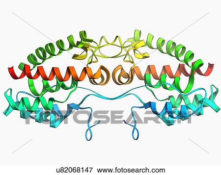 Stock Illustration - Rous sarcoma virus capsid protein. Fotosearch