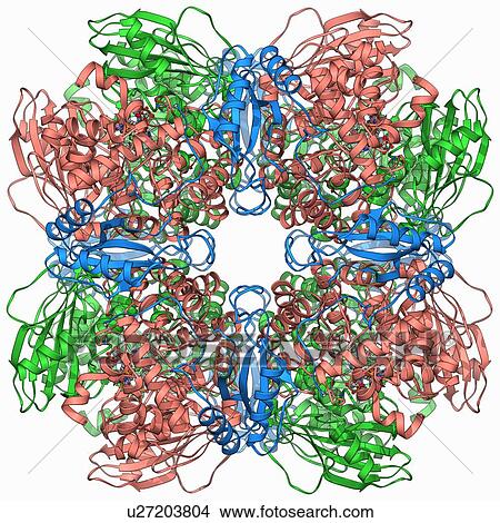 Stock Illustration - Rubisco enzyme molecule. Fotosearch