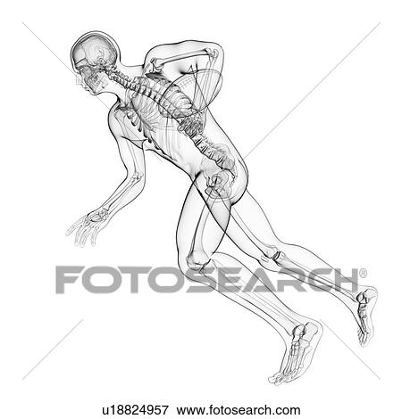 Rugby player, artwork View Large Illustration Stock Illustration - Rugby player, artwork. Fotosearch