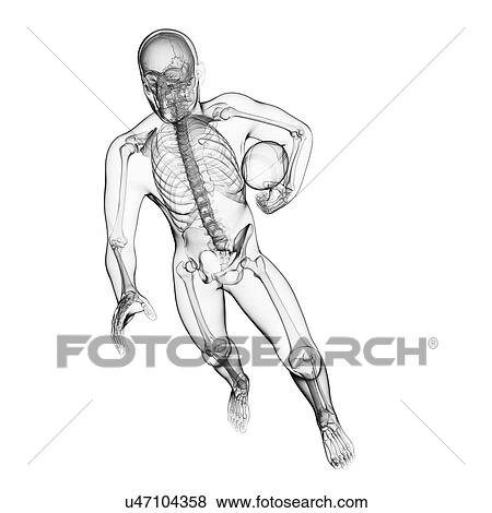 Rugby player, artwork View Large Illustration Stock Illustration - Rugby player, artwork. Fotosearch