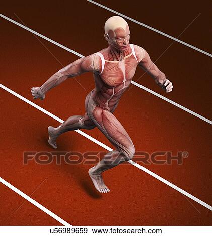Runner, artwork View Large Illustration Stock Illustration - Runner, artwork. Fotosearch