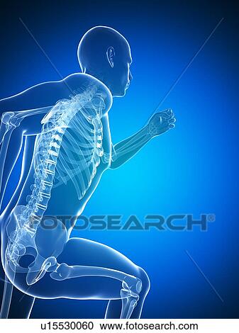 Clipart - Running skeleton, artwork. Fotosearch