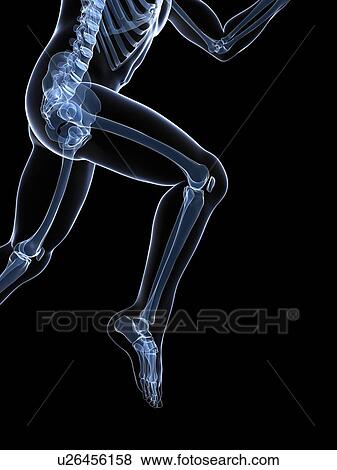 Stock Illustration - Running skeleton, artwork. Fotosearch