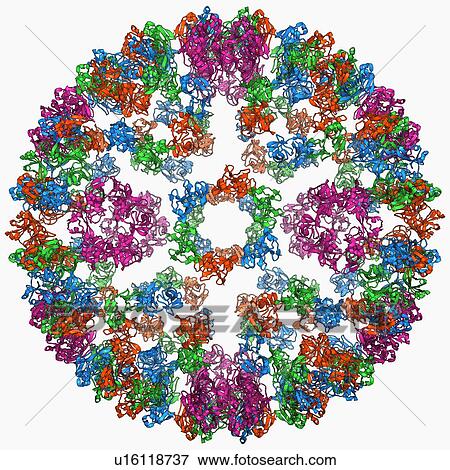 Semliki forest virus capsid View Large Illustration Stock Illustration - Semliki forest virus capsid. Fotosearch