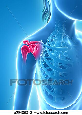 Shoulder pain, conceptual artwork View Large Illustration Drawing - Shoulder pain, conceptual artwork. Fotosearch