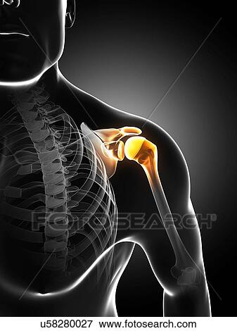 Shoulder pain, conceptual artwork View Large Illustration Stock Illustration - Shoulder pain, conceptual artwork. Fotosearch