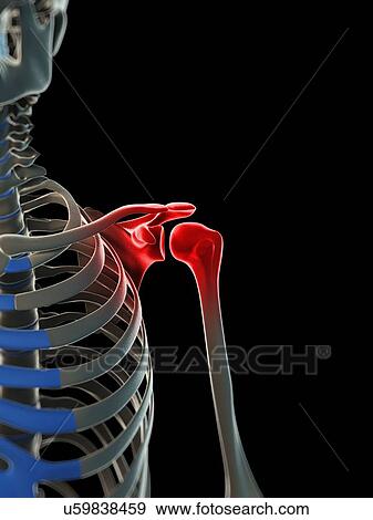 Shoulder pain, conceptual artwork View Large Illustration Stock Illustration - Shoulder pain, conceptual artwork. Fotosearch