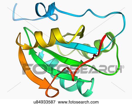 Simian virus SV40 large T antigen Stock Illustration | u84933587