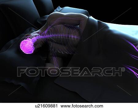 Clip Art - Sleeping man, artwork. Fotosearch