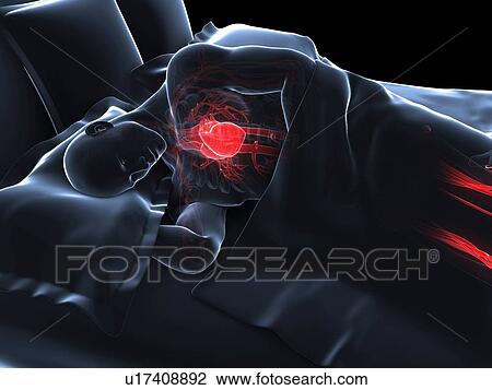 Sleeping man, artwork View Large Illustration Drawing - Sleeping man, artwork. Fotosearch