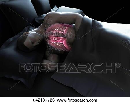 Drawing - Sleeping man, artwork. Fotosearch