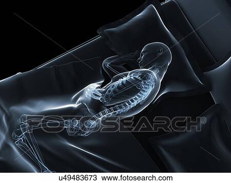 Drawing - Sleeping man, artwork. Fotosearch