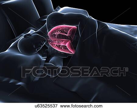 Stock Illustration - Sleeping man, artwork. Fotosearch