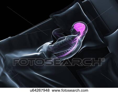 Sleeping man, artwork View Large Illustration Stock Illustration - Sleeping man, artwork. Fotosearch