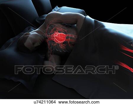 Stock Illustration - Sleeping man, artwork. Fotosearch