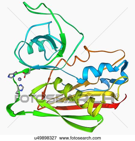 Staphylococcal enterotoxin C2 molecule View Large Illustration Stock Illustration - Staphylococcal enterotoxin C2 molecule. Fotosearch