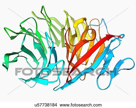 Stock Illustration - Transcription repressor molecule. Fotosearch